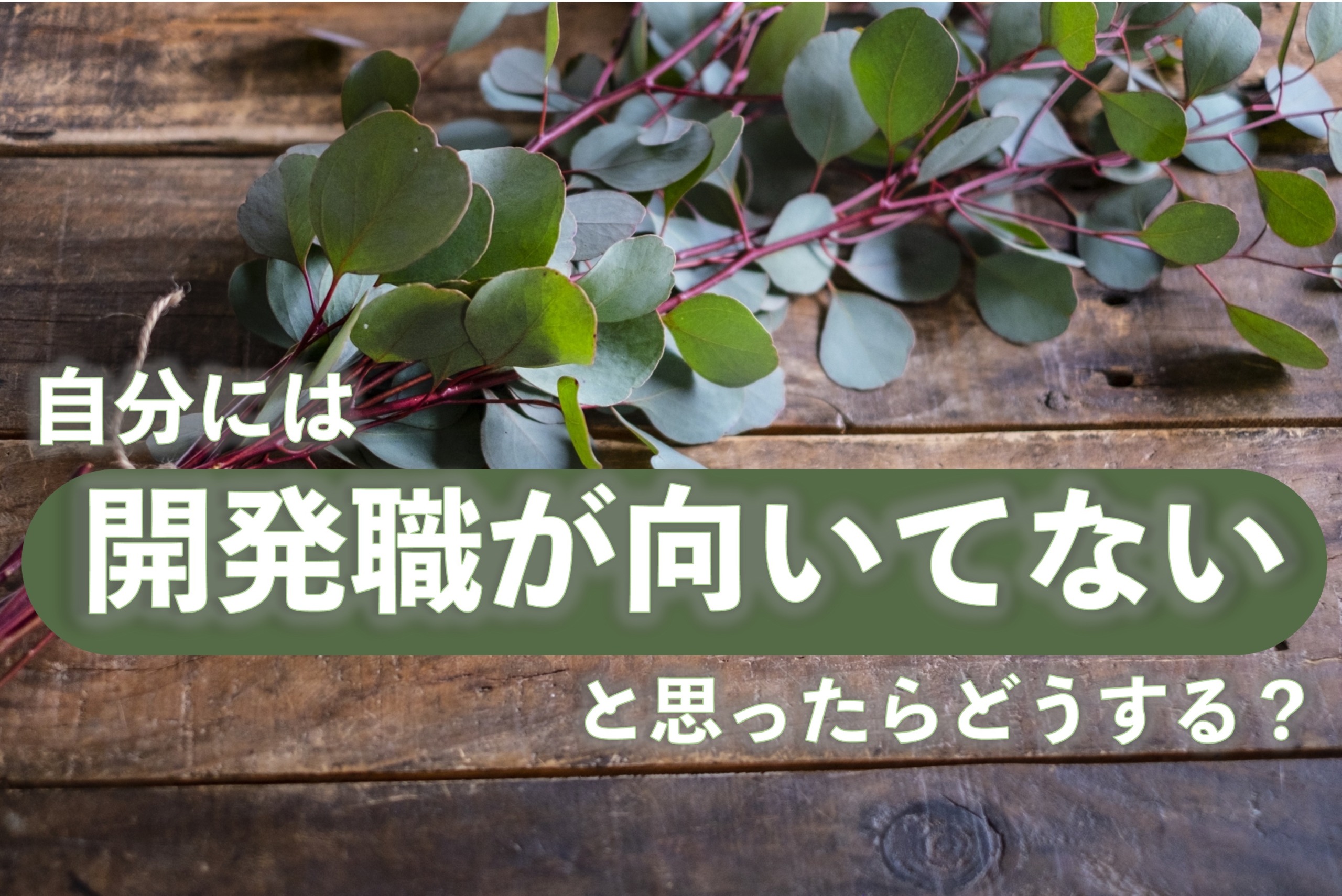 自分には開発職が向いてないと思ったらどうする？